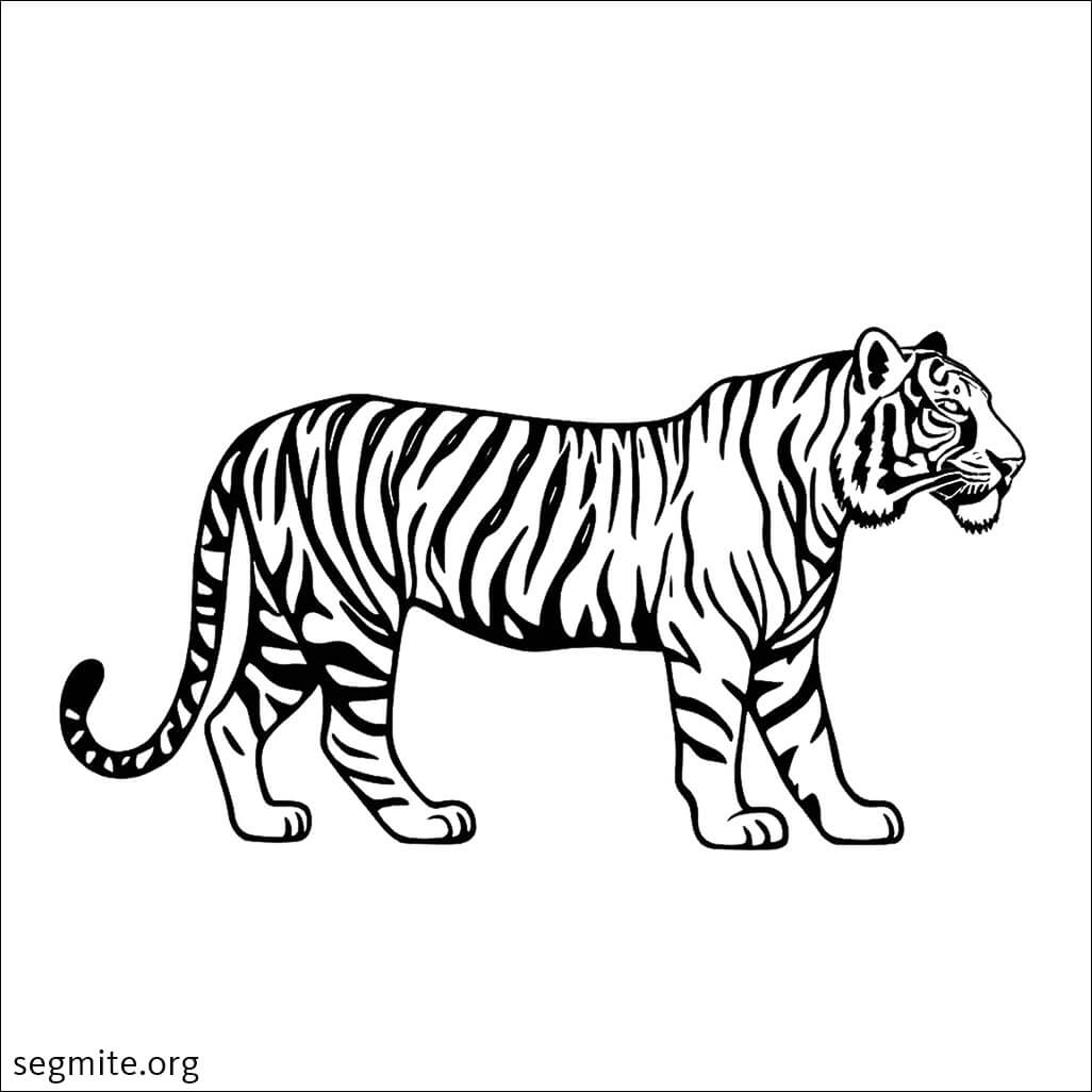 realistic tiger coloring pages